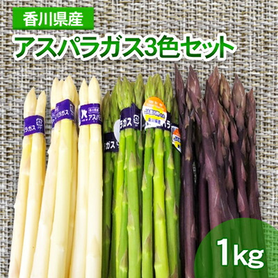 【ふるさと納税】アスパラガス3色セット 1kg 野菜 野菜セット 　お届け：2025年3月上旬～9月下旬