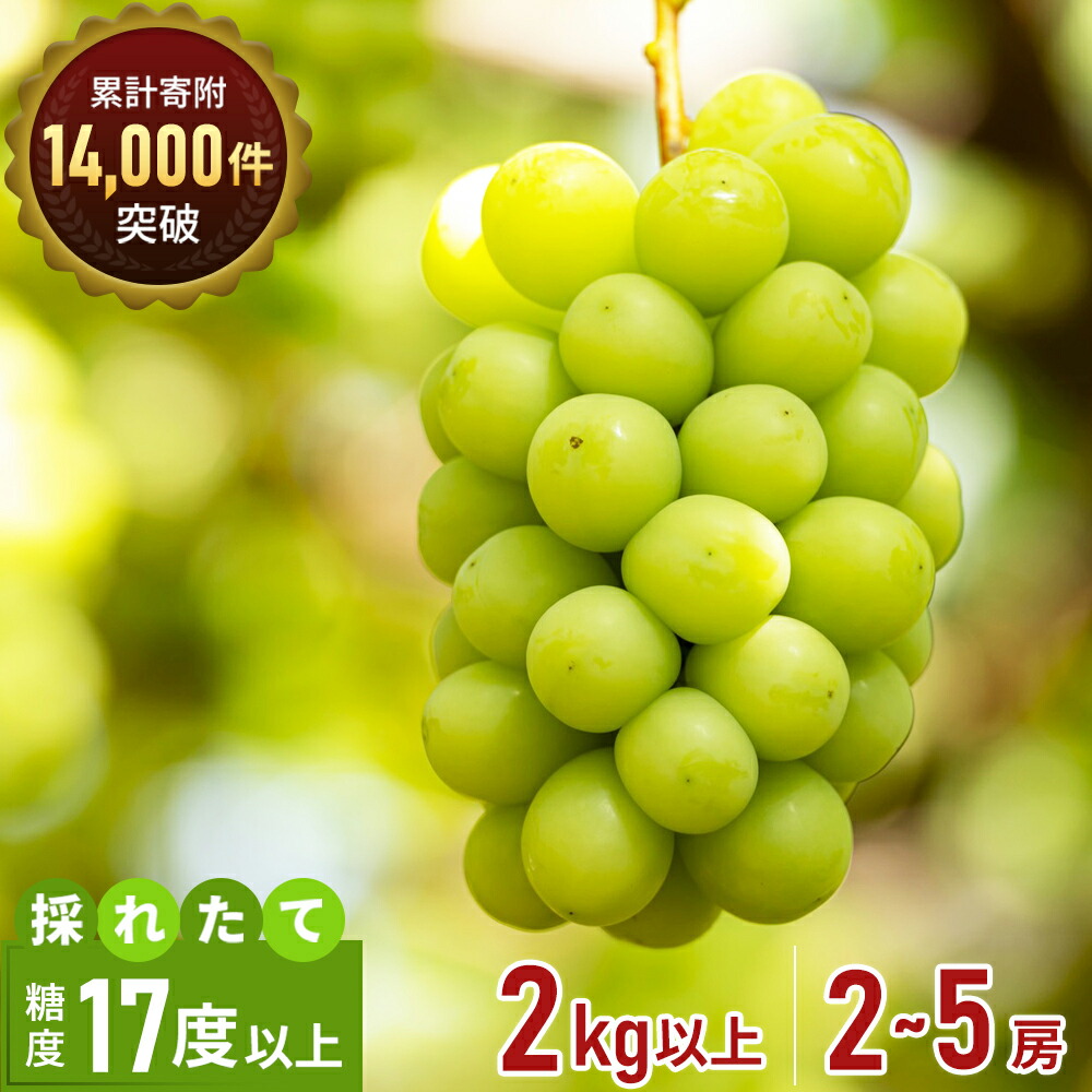 【ふるさと納税】シャインマスカット 2～5房 2kg 家庭用 マスカット 葡萄 ぶどう ブドウ フルーツ 果物 くだもの 果実 旬の果物 旬のフルーツ 香川 香川県 東かがわ市　お届け：2025年8月中旬～10月中旬