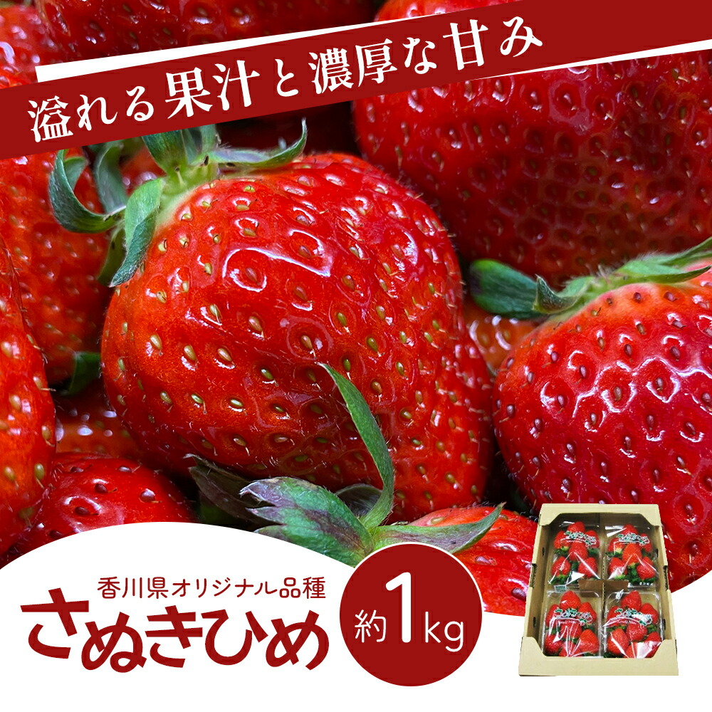 【ふるさと納税】香川県 オリジナル品種！ いちご【さぬきひめ】1kg（ フルーツ 果物類 苺 さぬき姫 取り寄せ 送料無料 糖度 甘い 農園 特産品 秀品 大粒 1キロ デザート ストロベリー 国産 冷蔵便 ） 香川県東かがわ市 　お届け：2025年1月下旬～6月上旬