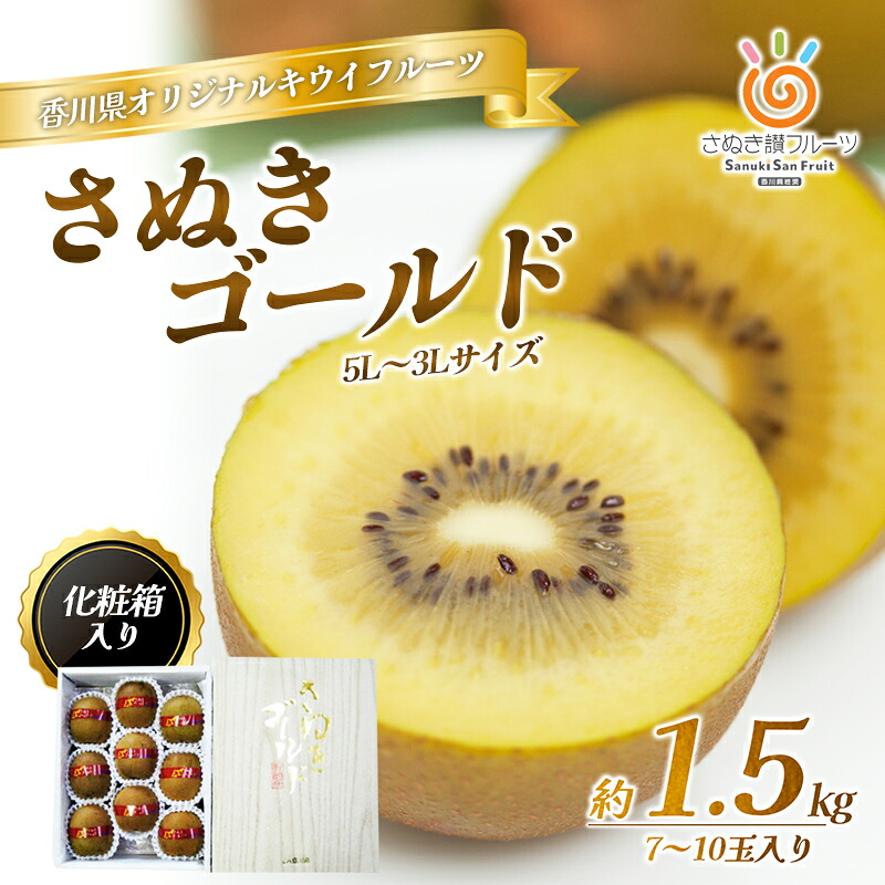 【ふるさと納税】さぬき ゴールドキウイ 1.5kg 化粧箱入り ゴールデンキウイ キウイフルーツ キウイ フルーツ 果物 くだもの 果実 旬の果物 旬のフルーツ 香川 香川県 東かがわ市　お届け：2026年10月中旬～12月31日｜香川県東かがわ市