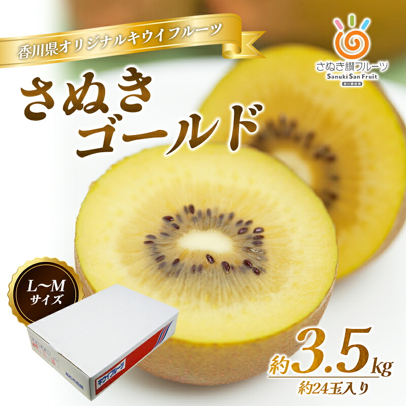 【ふるさと納税】さぬき ゴールドキウイ L～４Lサイズ16玉～ 24玉 3.5kg ゴールデンキウイ キウイフルーツ キウイ フルーツ 果物 くだもの 果実 旬の果物 旬のフルーツ 香川 香川県 東かがわ市　お届け：2026年10月中旬～12月31日