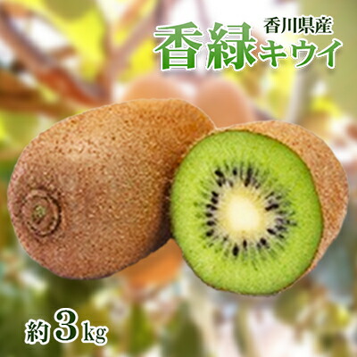 【ふるさと納税】香緑 (こうりょく) キウイ3kg キウイフルーツ フルーツ 果物 くだもの 果実 旬の果物 旬のフルーツ 香川 香川県 東かがわ市　お届け：2026年11月中旬～2027年1月31日