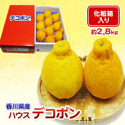 【ふるさと納税】ハウスデコポン 2.8kg 化粧箱 香川県産 デコポン でこぽん フルーツ 果物 くだもの 旬のフルーツ 旬の果物 柑橘 柑橘類 ハウス みかん ハウスみかん 香川 香川県 東かがわ市　お届け：2026年12月15日～2027年3月20日｜香川県東かがわ市