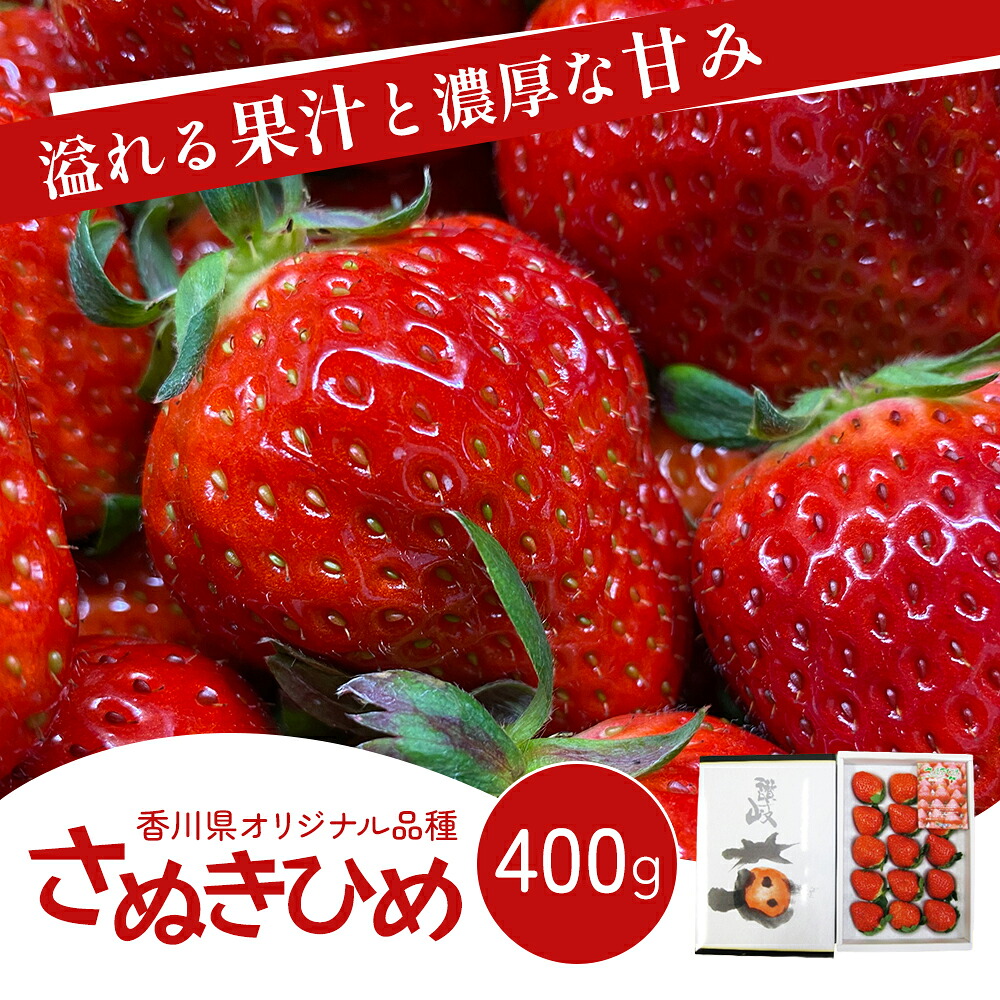 【ふるさと納税】いちご 香川県オリジナル品種 さぬきひめ 400g 香川県産 化粧箱 年内受付 苺 イチゴ フルーツ 果物 くだもの 旬のフルーツ 旬の果物 大粒 採れたて 冷蔵 香川 香川県 東かがわ市　お届け：2026年11月中旬～2026年12月31日