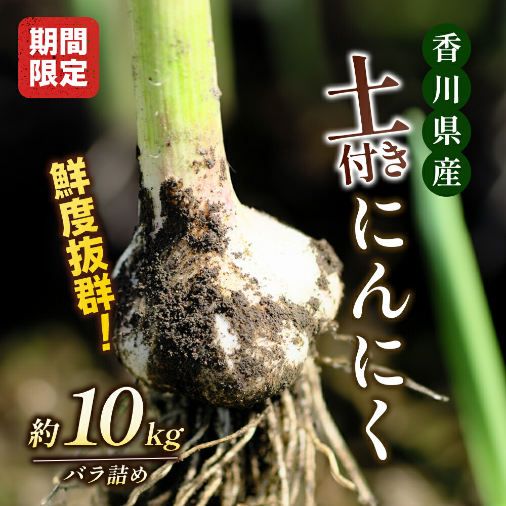 【ふるさと納税】鮮度抜群！土付きにんにく 約10kg 野菜 野菜セット ニンニク 　お届け：2026年5月上旬～6月上旬
