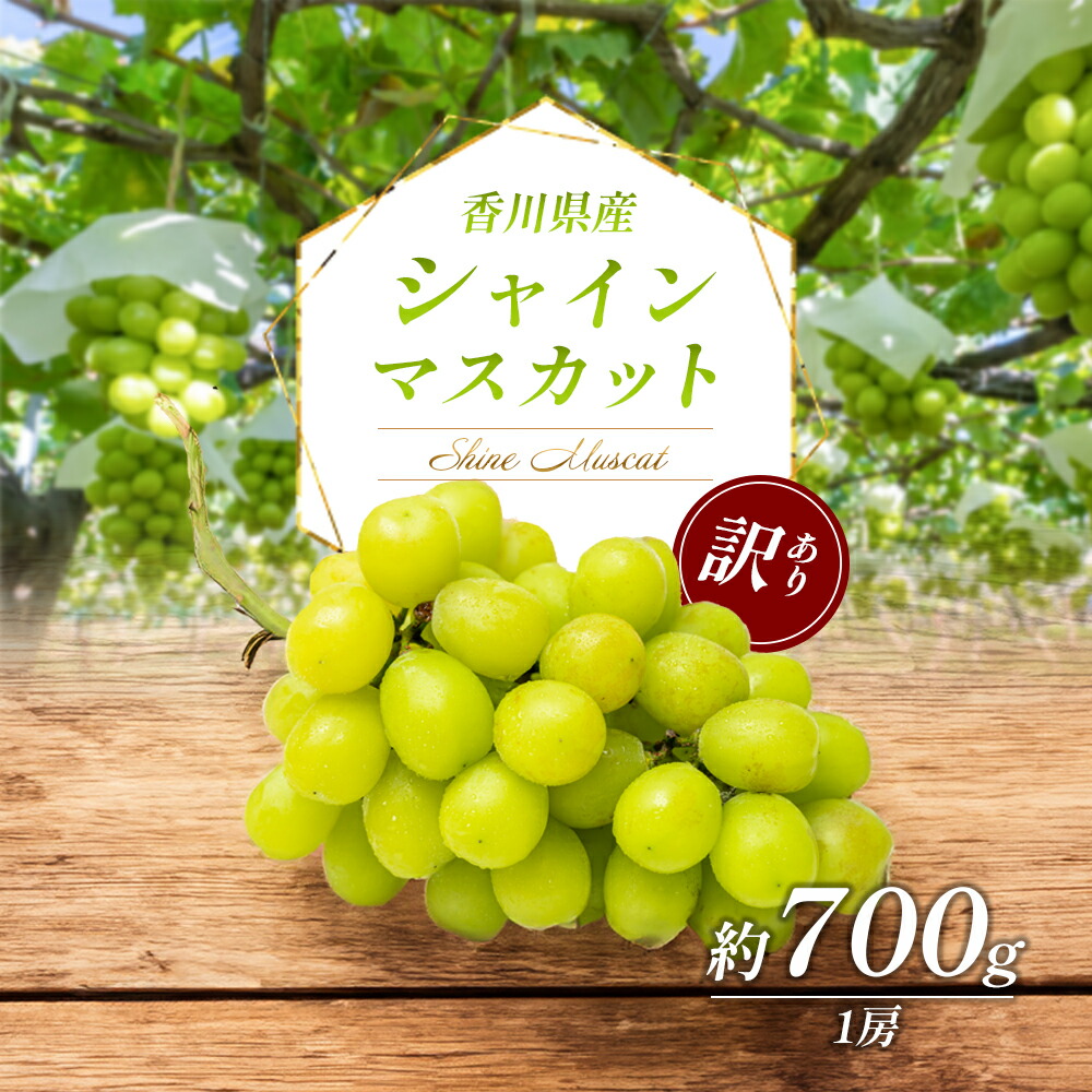 【ふるさと納税】訳あり シャインマスカット 700g 1房 家庭用 香川県産 ぶどう ブドウ 葡萄 マスカット フルーツ 果物 くだもの 旬のフルーツ 旬の果物 不揃い 訳アリ 香川 香川県 東かがわ市　お届け：2025年8月中旬～10月中旬