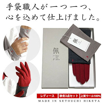 【ふるさと納税】佩（ハク）グローブ差し上げ物書き割り 流行り物 流行り物小物 消音装置