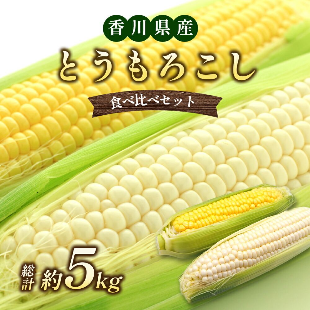 【ふるさと納税】とうもろこし食べ比べセット　約5kg 野菜 野菜セット とうもろこし イエローコーン ホワイトコーン 詰合せ 　お届け：2025年6月中旬～7月上旬