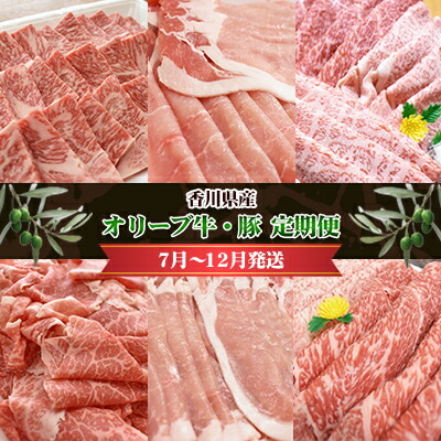 【ふるさと納税】香川県産　オリーブ牛、豚　500ｇ　定期便（7月～12月） 牛肉 お肉 豚肉 毎月届く 半年 6回お届け すき焼き ロース しゃぶしゃぶ 焼肉 スライス 切り落とし 　お届け：2025年7月～2025年12月