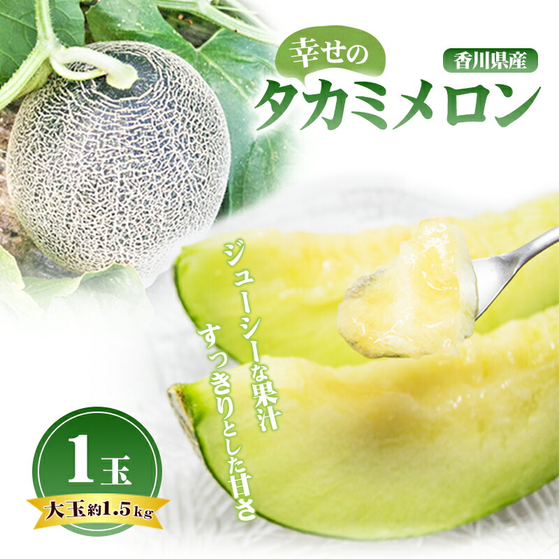【ふるさと納税】幸せの「タカミメロン」1玉（大玉） フルーツ 果物 　お届け：2025年6月中旬～7月中旬