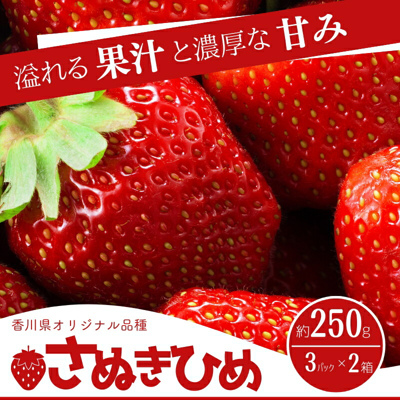 【ふるさと納税】香川県オリジナル品種！　ご家庭用さぬきひめ苺　6パック　お届け：2月上旬～5月下旬まで