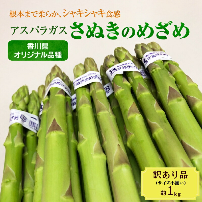 【ふるさと納税】アスパラガス【さぬきのめざめ】訳あり品　約1kg　お届け：3月上旬～10月上旬まで