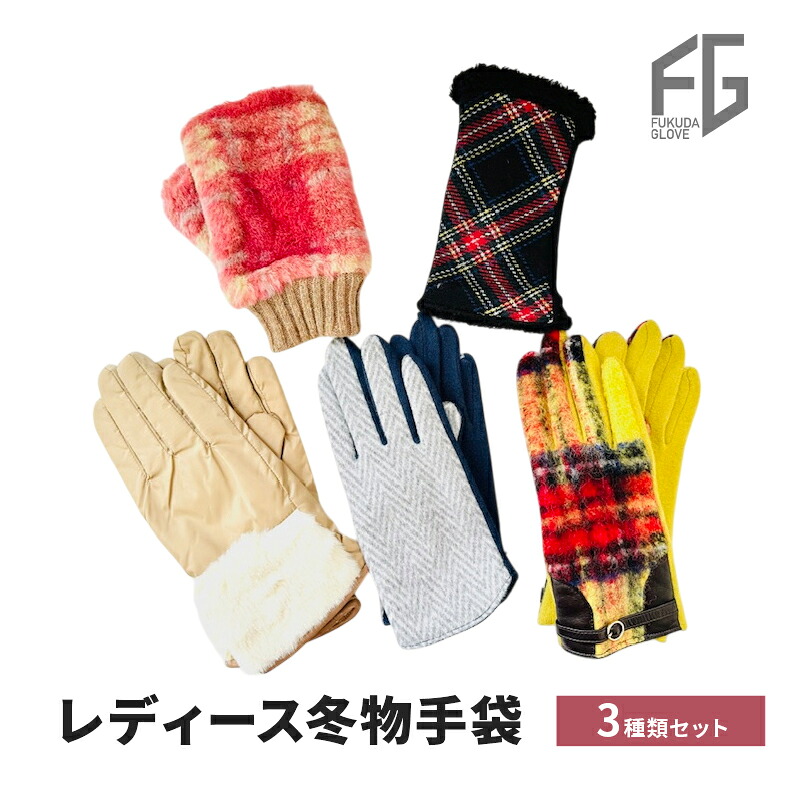 【ふるさと納税】東かがわ市からお届けする【レディース冬物手袋3種類セット】