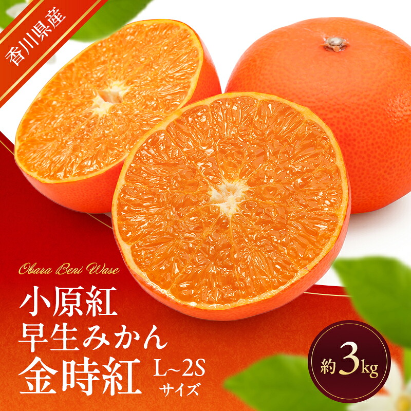 【ふるさと納税】小原紅早生みかん (金時紅) 約3kg 早生 蜜柑 みかん ミカン 柑橘 フルーツ 果物 くだもの 果実 旬の果物 旬のフルーツ 香川 香川県 東かがわ市　お届け：2026年11月20日～2026年12月31日｜香川県東かがわ市