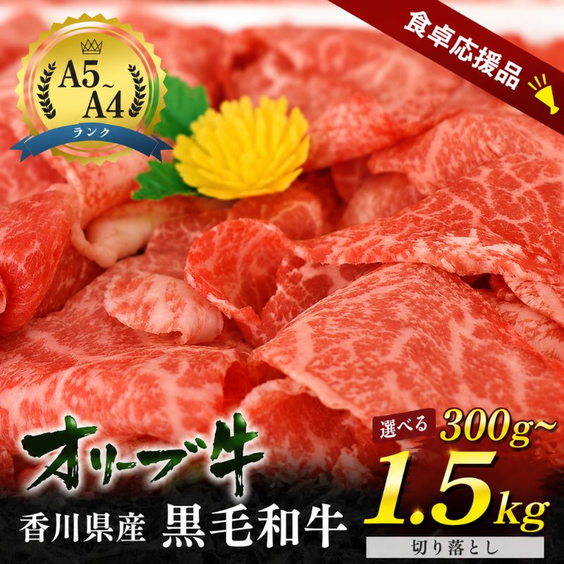 【ふるさと納税】「期間限定」香川県産黒毛和牛オリーブ牛「切り落とし300g~1.5kg」牛肉 肉 お肉 和牛 香川 香川県 東かがわ市 お届け:順次発送|香川県東かがわ市