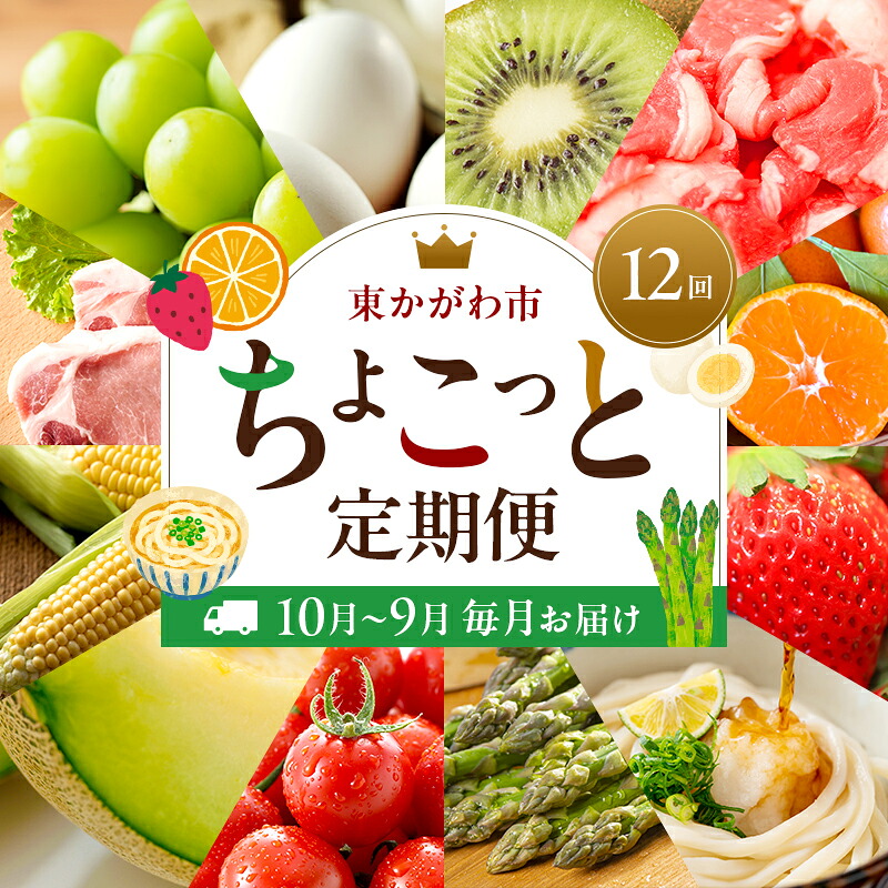【ふるさと納税】東かがわ市ちょこっと定期便(12回) 卵 キウイ 黒毛和牛 みかん いちご 讃岐うどん アスパラ トマト メロン コーン 豚肉 シャインマスカット 香川 お届け:2026年10月上旬~2027年9月下旬|香川県東かがわ市