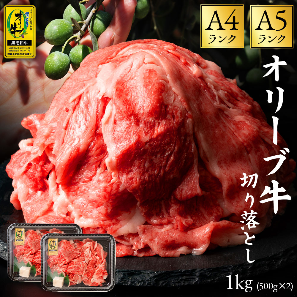 【ふるさと納税】黒毛和牛 オリーブ牛 切り落とし 約 1kg (約500g×2) [ 讃岐牛 すき焼き しゃぶしゃぶ 焼肉 ランキング ブランド牛 小間 牛肉 お肉 国産 一押し 送料無料  A4 A5  牛肉　切り落とし 三豊市 20000 20,000円 返礼品 人気 セット サヌキ畜産フーズ株式会社