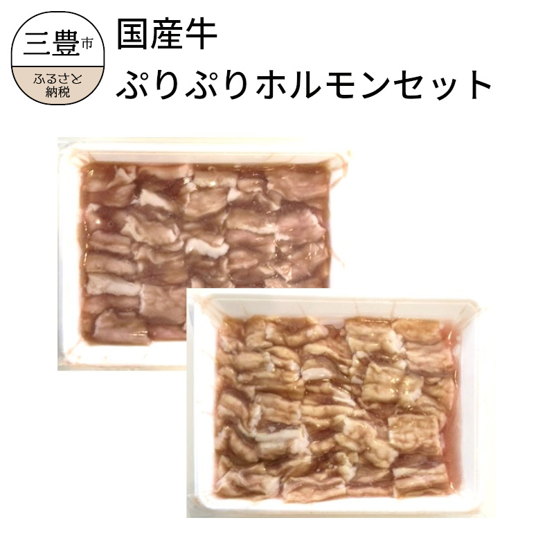 今季も再入荷 国産牛ぷりぷりホルモンセット 食べ比べ 小腸 アカセンマイ 焼肉 もつ鍋 fucoa.cl