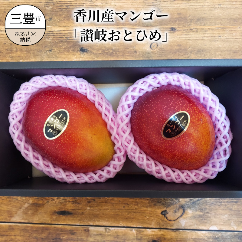 【ふるさと納税】 讃岐おとひめ 香川産マンゴー「讃岐おとひめ」 Lサイズ 2個入 [ 三豊市 財田町 国産マンゴー 産地直送 完熟マンゴー 果物ギフト フルーツ 贈答用 濃厚な甘み ジューシーな果肉 完熟果実 フルーツ 果汁たっぷり 10000 10,000円 台 アンファーム ] 12,070円