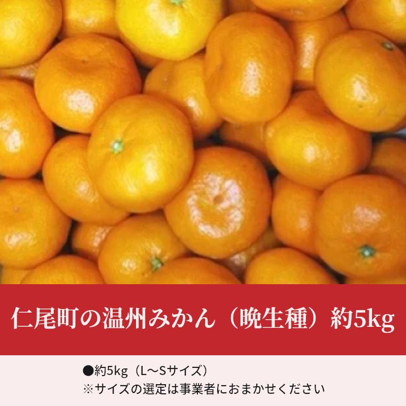 楽天市場 ふるさと納税 仁尾町の温州みかん 晩生種 約5kg 香川県三豊市