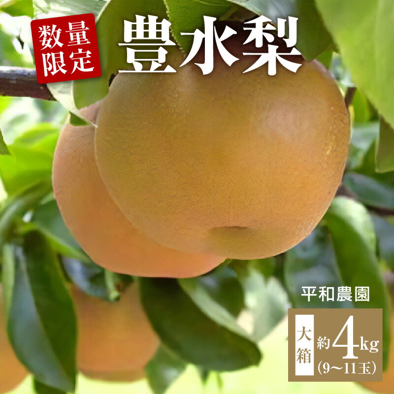 【ふるさと納税】【配送不可地域：北海道・沖縄県・離島】 数量限定 豊水梨 梨 大箱 9～11玉 約4kg 平和農園 国産 フルーツ 果物 季節 旬 高糖度 スイーツ フルーツ王国 デザート もぎたて 香川県 三豊市産 産地直送 食品 送料無料 お取り寄せ お取り寄せグルメ