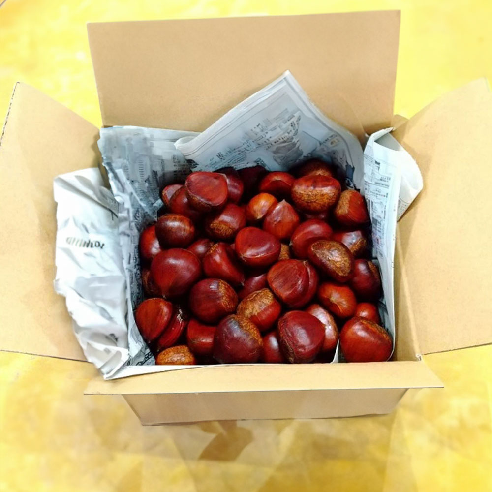 特大粒 4L生栗 無農薬 約5kg 特大粒 4L生栗 無農薬 約1キロ - メルカリ