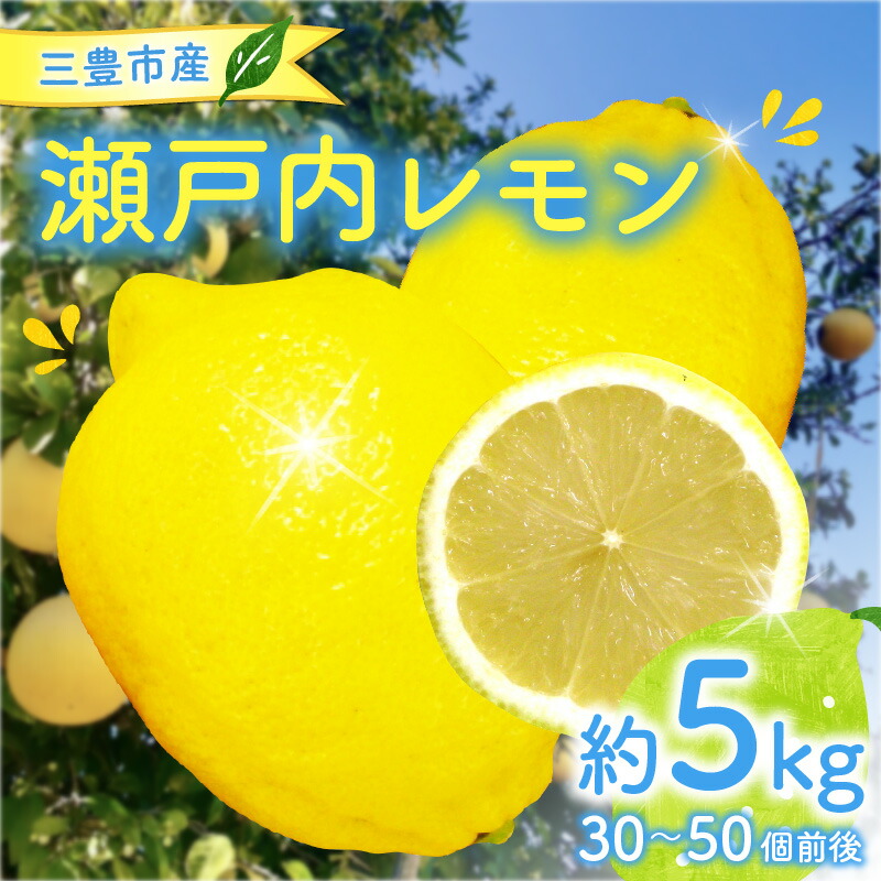 【ふるさと納税】 レモン 三豊市産 瀬戸内レモン 約5kg (30～50個前後) [ 檸檬 れもん 爽やか 香り 国産 lemon 瀬戸内 レモン 通販 お取り寄せ フレッシュレモン 香川県産 四国産 皮ごと使える レモンギフト 新鮮果実 果物詰め合わせ 旬 三豊市 10000 10,000円 台 五色青果 ]
