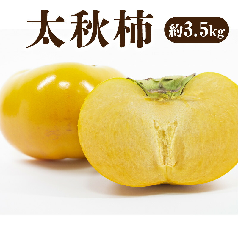 【ふるさと納税】 柿 国産 【先行予約】新食感甘柿 「太秋柿（ たいしゅうがき ）」 約3.2kg 「さくっ！」とした食感で、しっかりとした甘み お取り寄せ ギフト グルメ カキ かき 直送 新鮮 オーガニック 健康 栄養価 送料無料 フルーツ 果物 三豊市 10,000円 台 五色青果
