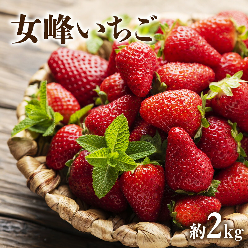 【ふるさと納税】 いちご 定期便 女峰いちご 苺 イチゴ 約 2kg 大人から子供まで 人気 フルーツ 果物 秋 旬 香川県 三豊市 讃岐 さぬき 希少 2キロ みとよ 女峰 希少 お取り寄せ ギフト ご当地 甘い 美しい 赤い おいしい 酸味 どっさり 大容量 五色青果