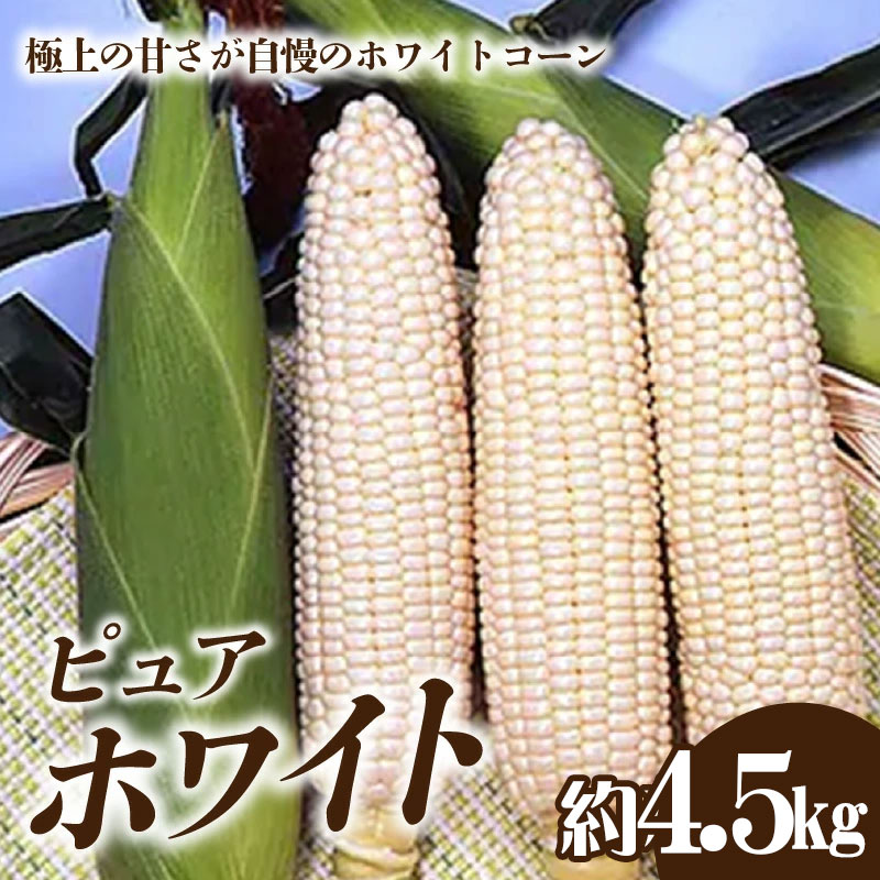【ふるさと納税】ホワイトコーン「ピュアホワイト」約4.5kg