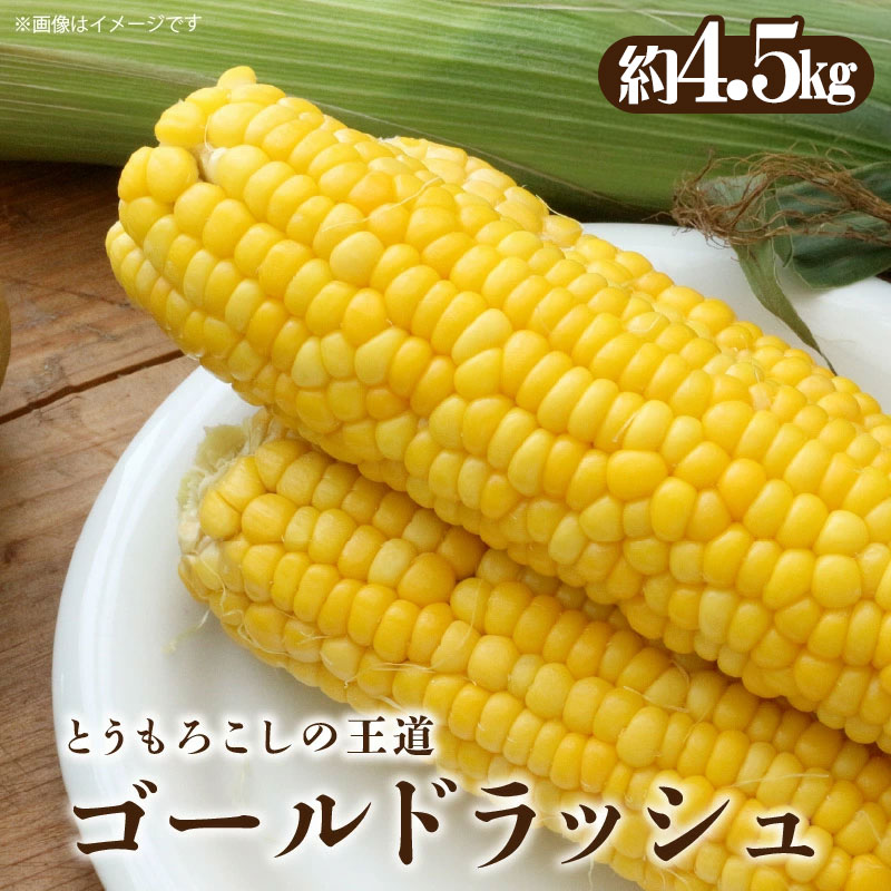 【ふるさと納税】【先行予約】とうもろこし「ゴールドラッシュ」約4.5kg