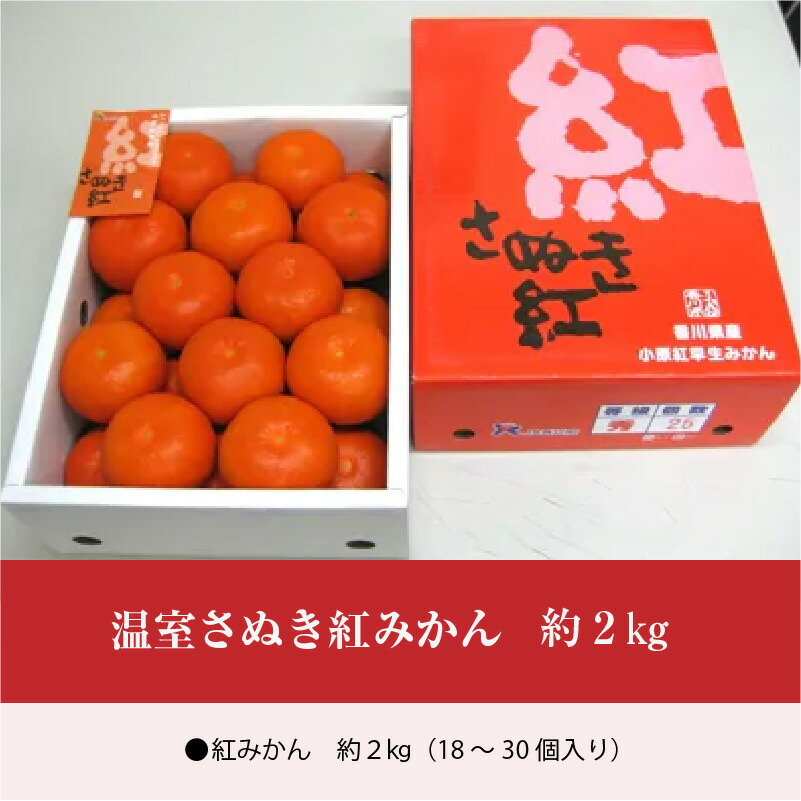 チョコ姫様専用 小原紅みかん缶詰 × 2箱 | signalstationpizza.com