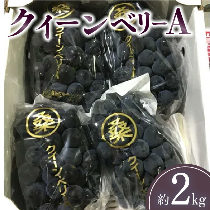 【ふるさと納税】【先行予約】 【配送不可地域：北海道・沖縄県・離島】 クイーンベリーA　約2kg
