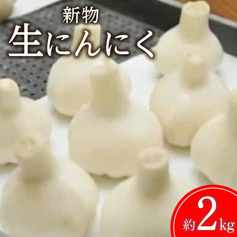 【ふるさと納税】 ニンニク 生 【先行予約】【新物】生にんにく 約2kg 香川県産 国産 ニンニク 新鮮 採れたて 無添加 農家直送 野菜 料理 調味料 薬味 健康 食材 スタミナ グルメ おいしい 人気 ご当地 地元 香川県 三豊市 みとよ市 10,000円 以下 返礼品 送料無料 五色青果