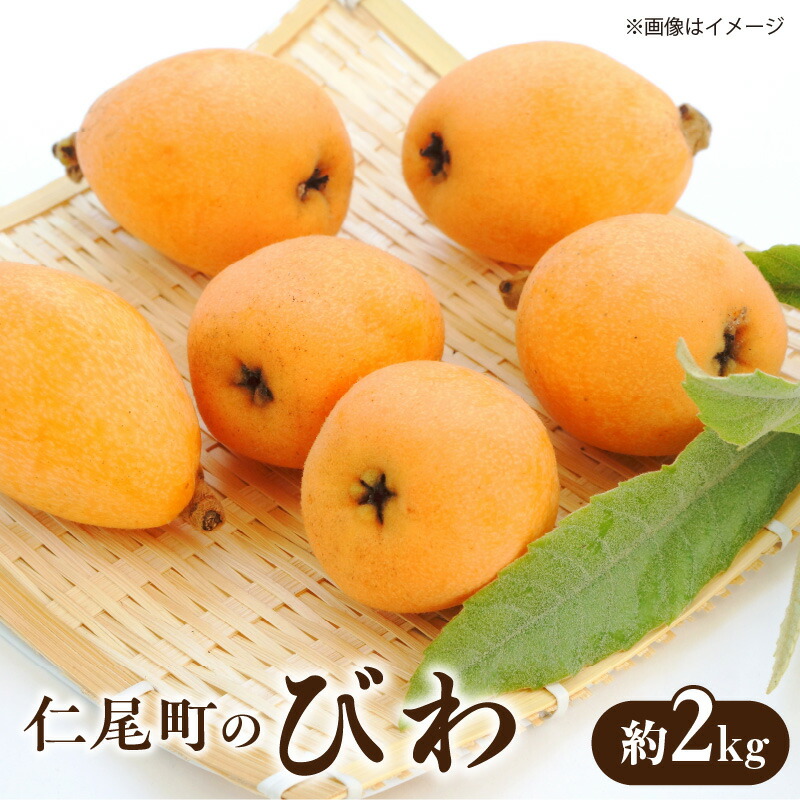 【ふるさと納税】仁尾町のびわ　約250g×8パック [ 新種 びわ ビワ 大玉 糖度 酸味 枇杷 旬 ギフト プレゼント 贈答用 国産 食品 冷蔵 果物 デザート フルーツ お取り寄せ お取り寄せグルメ 産地直送 送料無料 20000 20,000円 台 香川県 三豊市 五色青果 ]