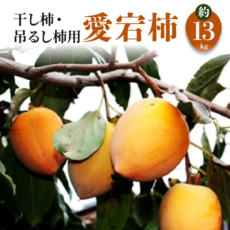 【ふるさと納税】 干し柿 吊るし柿用 「 愛宕柿 」 約13kg [ 柿 かき 直送 旬 健康効果 栄養価 送料無料 フルーツ 果物 お取り寄せグルメ 詰め合わせ お取り寄せギフト おいしい 人気 ランキング ギフト 讃岐 さぬき 10000円 10,000円 台 返礼品 香川県 三豊市 五色青果 ]