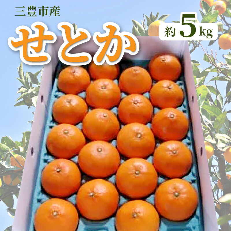 楽天市場】【ふるさと納税】 みかん 三豊市産せとか 約5kg 15玉〜28玉