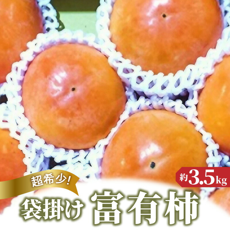 【ふるさと納税】 富有柿 先行予約 超希少！袋掛け富有がき 約3.5kg [ 柿 かき 袋掛け富有柿 フルーツ 超希少 産地直送 大玉 甘柿 高糖度 ギフト 旬の果物 秋の味覚 秋ギフト 果物ギフト 幻の柿 贈答用 お取り寄せ 送料無料 10000 10,000円 台 香川県 三豊市 五色青果 ]｜香川県三豊市