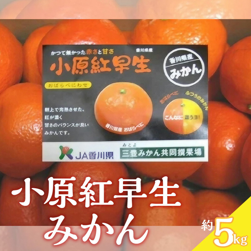楽天市場】小原紅早生ハウスみかん（さぬき紅みかん) 約2・5kg