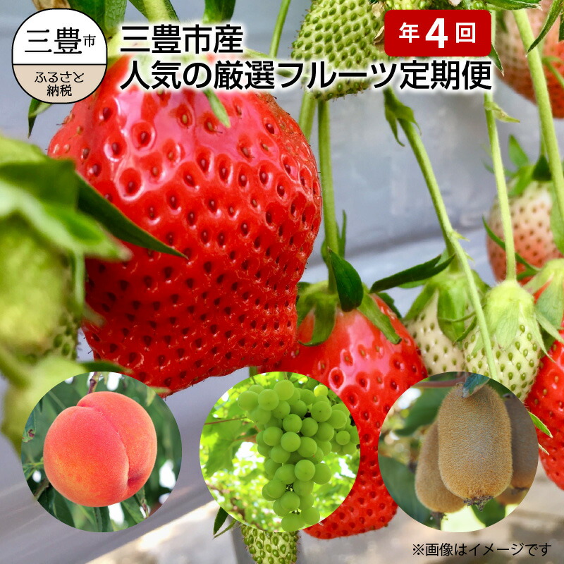 楽天市場】【ふるさと納税】フルーツ 定期便 年12回 果物 キウイ みかん せとか いちご 甘夏 びわ 仁尾 桃 ピオーネ シャインマスカット  早生みかん ゴールドキウイ 1年間 旬 送料無料 お取り寄せ お取り寄せグルメ 国産 食品 : 香川県三豊市