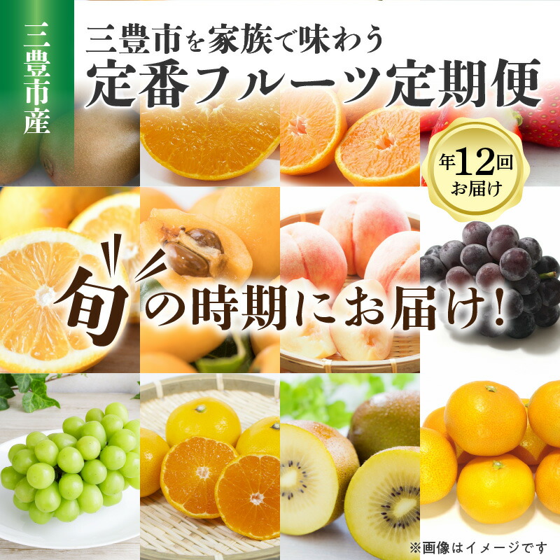 グルメ・飲料 食品 フルーツ・果物
