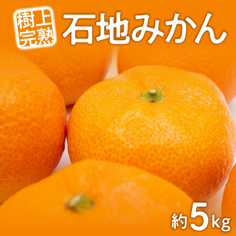 【ふるさと納税】 フルーツ みかん 石地みかん 約 5kg L～Sサイズ 先行予約 [ ミカン 蜜柑 薄皮で剥きやすい 食べやすい 高糖度 果物 柑橘 旬 新鮮 直送 産地直送 予約販売 人気 ギフト お歳暮 贈答用 家庭用 10000 10,000円 台 送料無料 香川県 三豊市 返礼品 五色青果 ]｜香川県三豊市