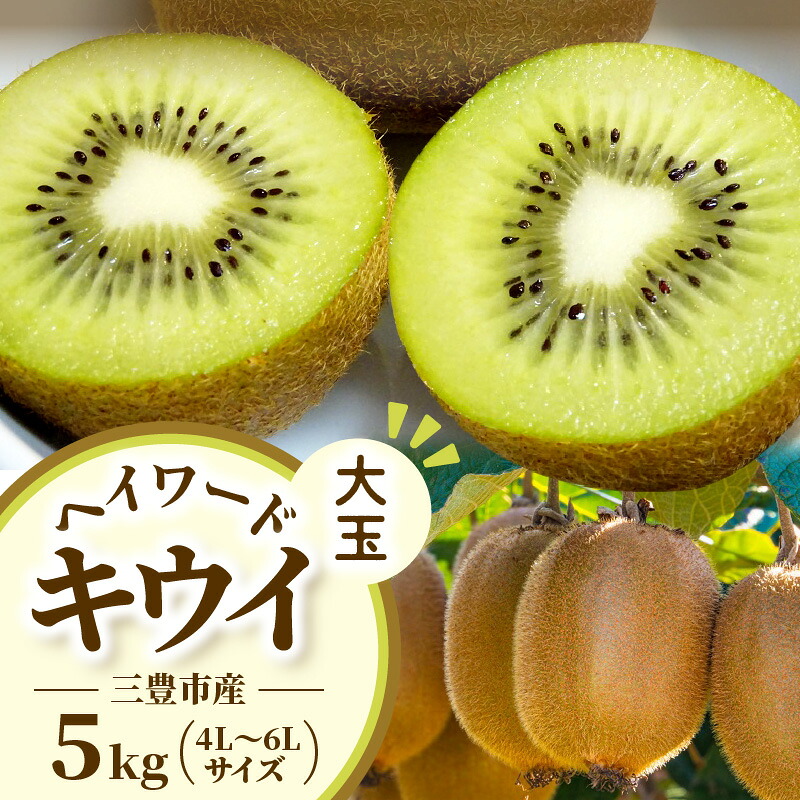【ふるさと納税】 キウイ 三豊市産 ヘイワードキウイ 【大玉】 5kg (4L～6Lサイズ 40～60玉前後) [ グリーンキウイ 国産 果物 香川県 三豊市 産地直送 予約販売 数量限定 贈答用 自宅用 ヘイワード ギフト 送料無料 10000 10,000円 台 三豊産 産直 五色青果 ]｜香川県三豊市