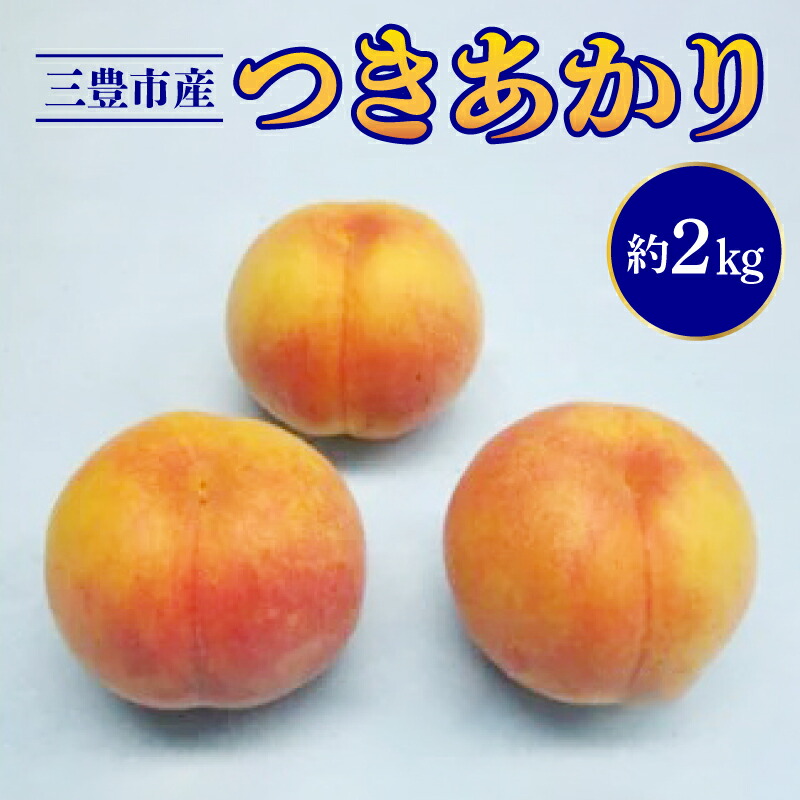 【ふるさと納税】数量限定！先行予約販売開始★ 神田農園の人気産地直送 桃「つきあかり」 約2kg（6玉） [ フルーツ 名産品 桃 もも モモ 果物 くだもの 取り寄せグルメ 三豊市 15000 15,000円 返礼品 神田桃園 ] ※配送不可地域：北海道・沖縄県・離島