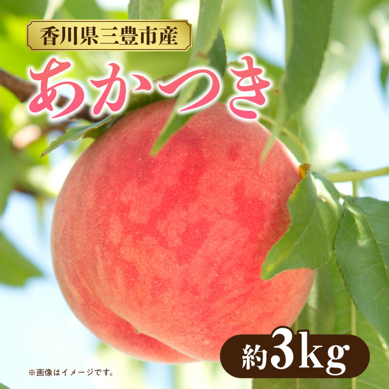 【ふるさと納税】数量限定！先行予約販売開始★ 神田農園の産地直送 桃「あかつき」 約3kg（9～10玉） [ フルーツ 名産品 桃 もも モモ 果物 くだもの お取り寄せグルメ 三豊市 20000 20,000円 返礼品 神田桃園 ] ※配送不可地域：北海道・沖縄県・離島