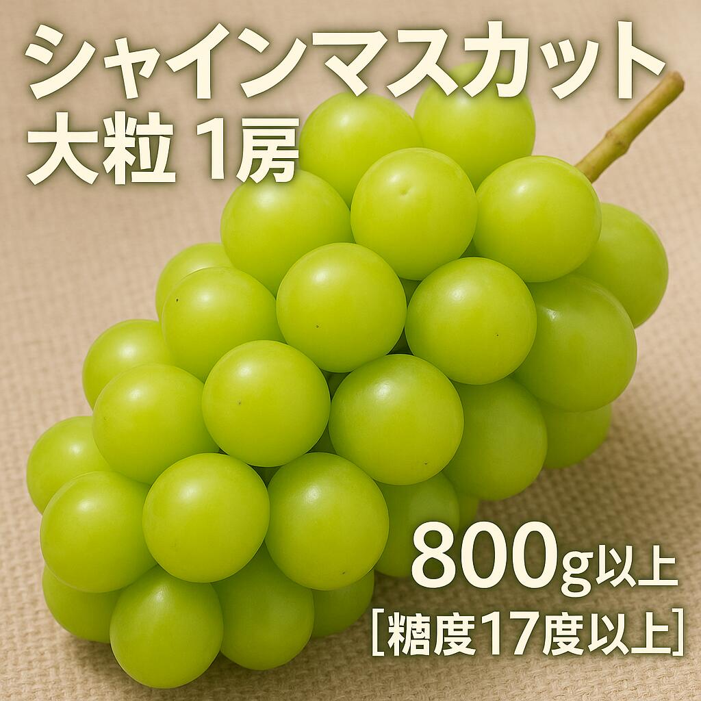 【ふるさと納税】シャインマスカット ギフト 【先行予約】 大粒 1房【800ｇ以上】【糖度17度以上】皮 旬 時期 糖度 香川 季節 種なし 香川県 三豊市 返礼品 甘い 人気 果物 フルーツ マスカット ぶどう 葡萄 ブドウ お取り寄せ ギフト 10000 10,000円 台 マミィギフト