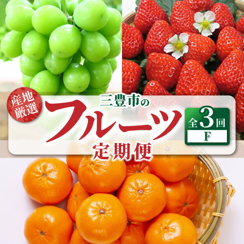 【ふるさと納税】【配送不可地域：北海道・沖縄県・離島】定期便 3回 シャインマスカット 1房 糖度チェック 実施 さぬきひめ 約250g 4パック いちご 果実 大きい 小原早生みかん 5kg  甘くて濃い 濃厚 旬の季節 お届け 香川県 三豊市 お取り寄せ 送料無料