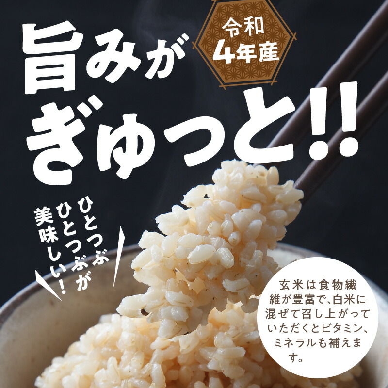 人気の製品 令和４年産 新米 天日干しの コシヒカリ ５ｋｇ 玄米 fucoa.cl