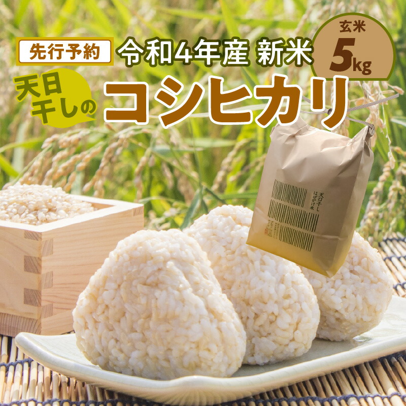 人気の製品 令和４年産 新米 天日干しの コシヒカリ ５ｋｇ 玄米 fucoa.cl