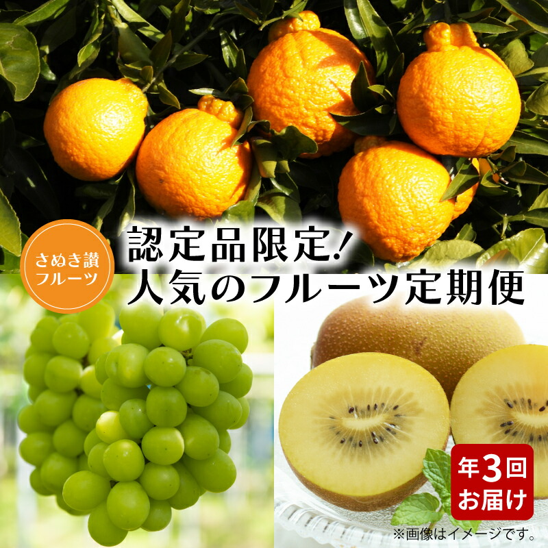 【ふるさと納税】【配送不可地域：北海道・沖縄県・離島】フルーツ 定期便 計 3回 さぬき讃フルーツ 認定品限定 人気 厳選 不知火 シャインマスカット キウイ みかん デコポン マスカット ぶどう ゴールドキウイ お取り寄せ お取り寄せグルメ デザート スイーツ 食品